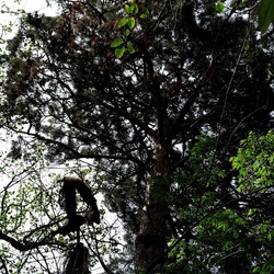 ORTO BOTANICO. Fotografie di Giulio Azzarello &copy;2024.