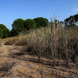 SELINUNTE. Fotografie di Giulio Azzarello ©2022. SELINUNTE. Fotografie di Giulio Azzarello ©2022.