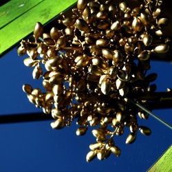 SPECCHIATI. Fotografia di Giulio Azzarello ©2023. SPECCHIATI. Fotografia di Giulio Azzarello ©2023.