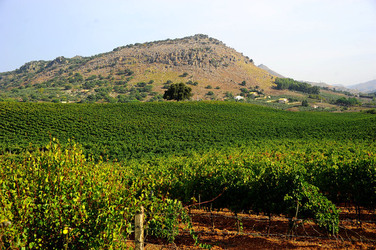 CAMPAGNA SICILIANA. Fotografie di Giulio Azzarello &copy;2016.