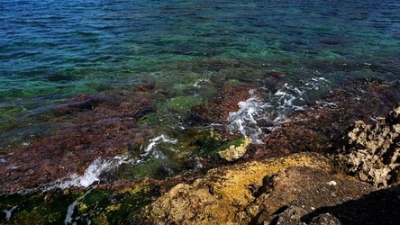 BAIA DEL CORALLO. Fotografie di Giulio Azzarello &copy;2022.