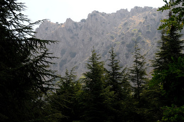 IL PARCO DELLE MADONIE da Polizzi Generosa in Sicilia. Fotografie di Giulio Azzarello &copy;2014.