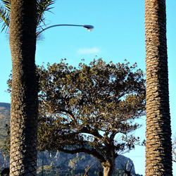 MONDELLO di inverno. Fotografie di Giulio Azzarello &copy;2016.