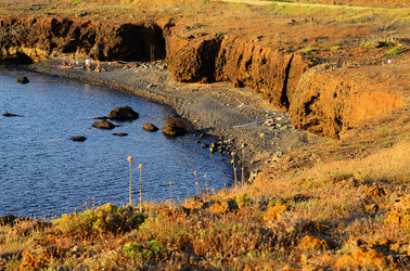 ISOLA DI USTICA la costa. Fotografie di Giulio Azzarello &copy;2016.