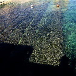 BARCHE. Fotografie di Giulio Azzarello &copy;2022.