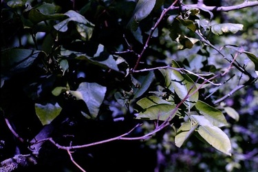 DIGITALIZZAZIONI fotografie di Giulio Azzarello &copy;2020.