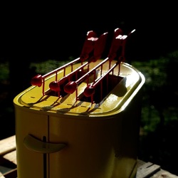 TOAST. Fotografie di Giulio Azzarello &copy;2025.