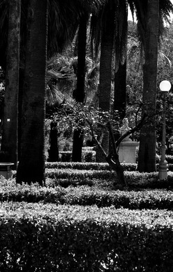 BIANCO NERO. Fotografie di Giulio Azzarello ©2021. BIANCO NERO. Fotografie di Giulio Azzarello ©2021.