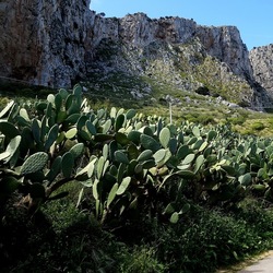 RISERVA NATURALE. Fotografie di Giulio Azzarello &copy;2022.