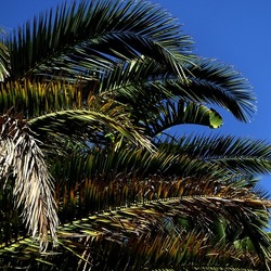 SELINUNTE. Fotografie di Giulio Azzarello ©2022. SELINUNTE. Fotografie di Giulio Azzarello ©2022.