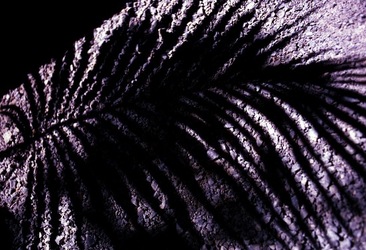 DIGITALIZZAZIONI fotografie di Giulio Azzarello &copy;2020.