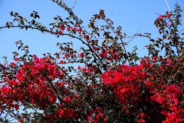 MONDELLO. Fotografie di Giulio Azzarello &copy;2023.
