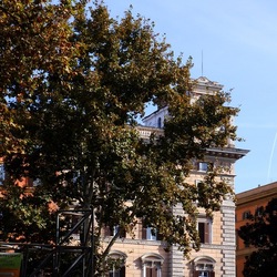 ROMA fotografie di Giulio Azzarello &copy;2022.