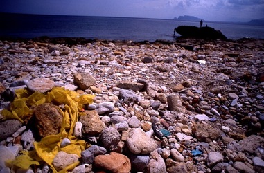 DIGITALIZZAZIONI fotografie di Giulio Azzarello &copy;2020.