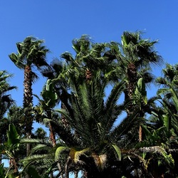 SELINUNTE. Fotografie di Giulio Azzarello ©2022. SELINUNTE. Fotografie di Giulio Azzarello ©2022.