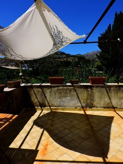 GIARDINO SICILIANO fotografie di Giulio Azzarello ©2021. GIARDINO SICILIANO fotografie di Giulio Azzarello ©2021.