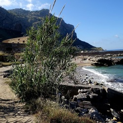 PERIFERIE. Fotografie di Giulio Azzarello &copy;2022.