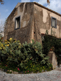 PAESAGGIO CATANESE panoramiche e particolari. Fotografie di Giulio Azzarello &copy;2014.
