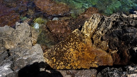 BAIA DEL CORALLO. Fotografie di Giulio Azzarello &copy;2022.