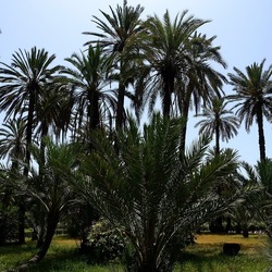 PALERMO. Fotografie di Giulio Azzarello &copy;2022.