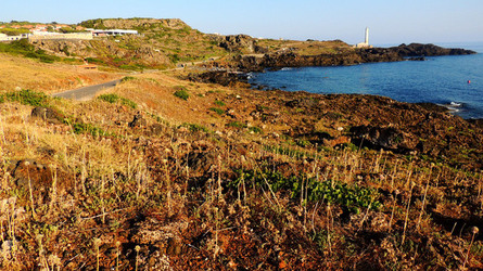 ISOLA DI USTICA la costa. Fotografie di Giulio Azzarello &copy;2016.