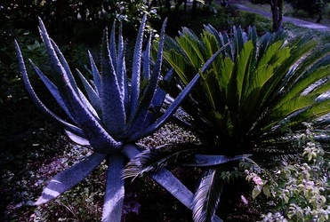 DIGITALIZZAZIONI fotografie di Giulio Azzarello &copy;2020.