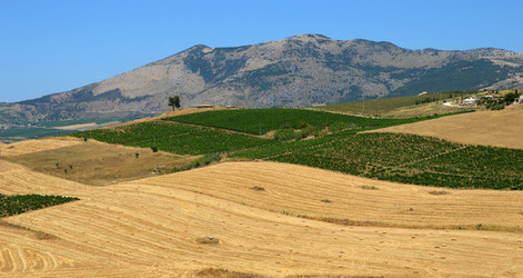 SEGESTA in Sicilia sito archeologico. Fotografie di Giulio Azzarello ©2014.