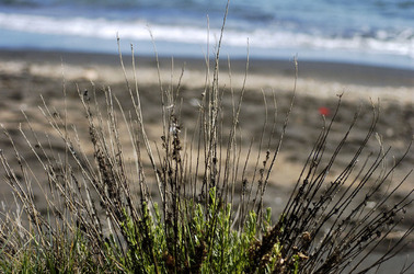 ARTE CONTEMPORANEA A PIRGI sito e riserva archeologica. Fotografie di Giulio Azzarello &copy;2014.