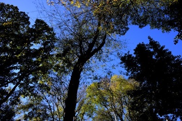 VENEZIA Giardini della Biennale di Arch. Cont.. Fotografie di Giulio Azzarello ©2022.