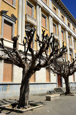 TRAPANI il centro storico il porto il mare la colombaia. Fotografie di Giulio Azzarello ©2014. TRAPANI il centro storico il porto il mare la colombaia. Fotografie di Giulio Azzarello ©2014.