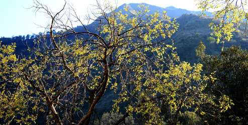 GOLE DELL ALCANTARA in Sicilia. Fotografie di Giulio Azzarello &copy;2016.