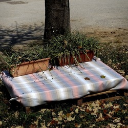 ZISA. Fotografie di Giulio Azzarello &copy;2023.