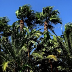 SELINUNTE. Fotografie di Giulio Azzarello ©2022. SELINUNTE. Fotografie di Giulio Azzarello ©2022.