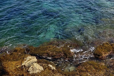 ARENELLA Fotografia di Giulio Azzarello ©2022.