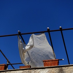 GIARDINO SICILIANO. Fotografie di Giulio Azzarello ©2022. GIARDINO SICILIANO. Fotografie di Giulio Azzarello ©2022.