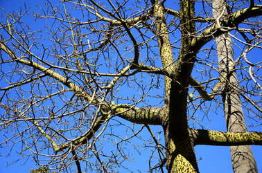 MACCHIA MEDITERRANEA in Sicilia. Fotografie di Giulio Azzarello &copy;2106.
