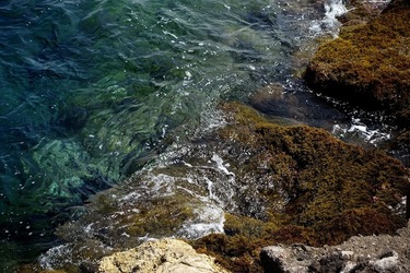 ARENELLA Fotografia di Giulio Azzarello ©2022.