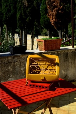 NATURE MORTE DIPINTE fotografie di Giulio Azzarello &copy;2022.