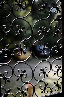 PAESAGGIO CATANESE panoramiche e particolari. Fotografie di Giulio Azzarello &copy;2014.