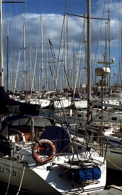 MARE Mondello e Palermo febbraio 2022. Fotografie di Giulio Azzarello &copy;2022.