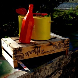 TOAST. Fotografie di Giulio Azzarello &copy;2025.