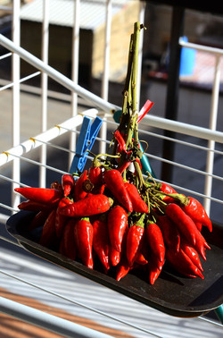 PEPERONCINO fotografie di Giulio Azzarello ©2014. PEPERONCINO fotografie di Giulio Azzarello ©2014.