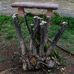 TRONCHI. Fotografie di Giulio Azzarello ©2022.