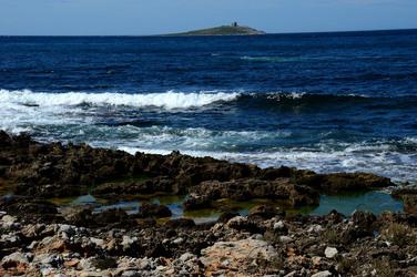 CAPO GALLO riserva marina e naturalistica a Palermo panoramiche e particolari. Fotografie di Giulio Azzarello ©2014. CAPO GALLO riserva marina e naturalistica a Palermo panoramiche e particolari. Fotografie di Giulio Azzarello ©2014.