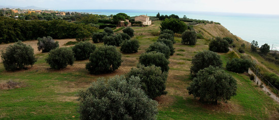 LUIGI PIRANDELLO il parco e la casa museo. Fotografie di Giulio Azzarello ©2014.