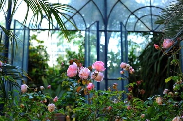ORTO BOTANICO di Palermo nel maggio 2018. Fotografie di Giulio Azzarello &copy;2018.