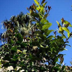 Arabo Normanno. Fotografie di Giulio Azzarello ©2024. Arabo Normanno. Fotografie di Giulio Azzarello ©2024.