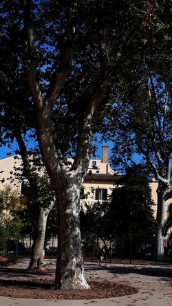 ROMA fotografie di Giulio Azzarello &copy;2022.