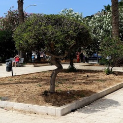 SAN VITO LO CAPO. Fotografie di Giulio Azzarello &copy;2023.