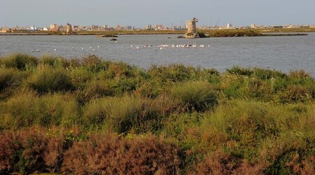LE SALINE di Trapani in Sicilia. Fotografie di Giulio Azzarello ©2014. LE SALINE di Trapani in Sicilia. Fotografie di Giulio Azzarello ©2014.